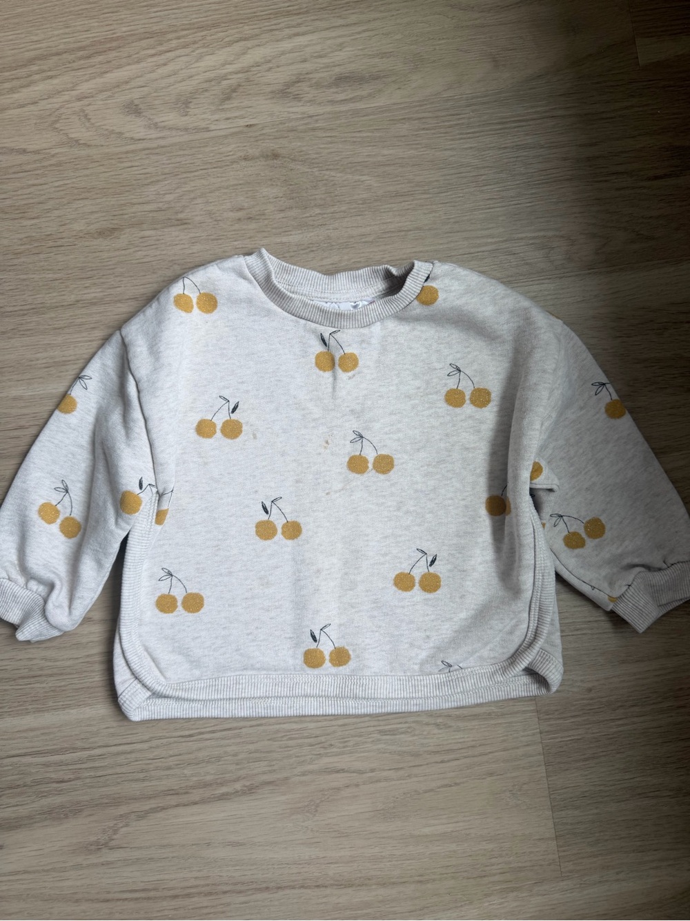 Zara Sweatshirt 24Mo